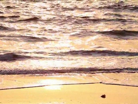 ウィーン少年合唱団 Wiener Sangerknaben 浜辺の歌