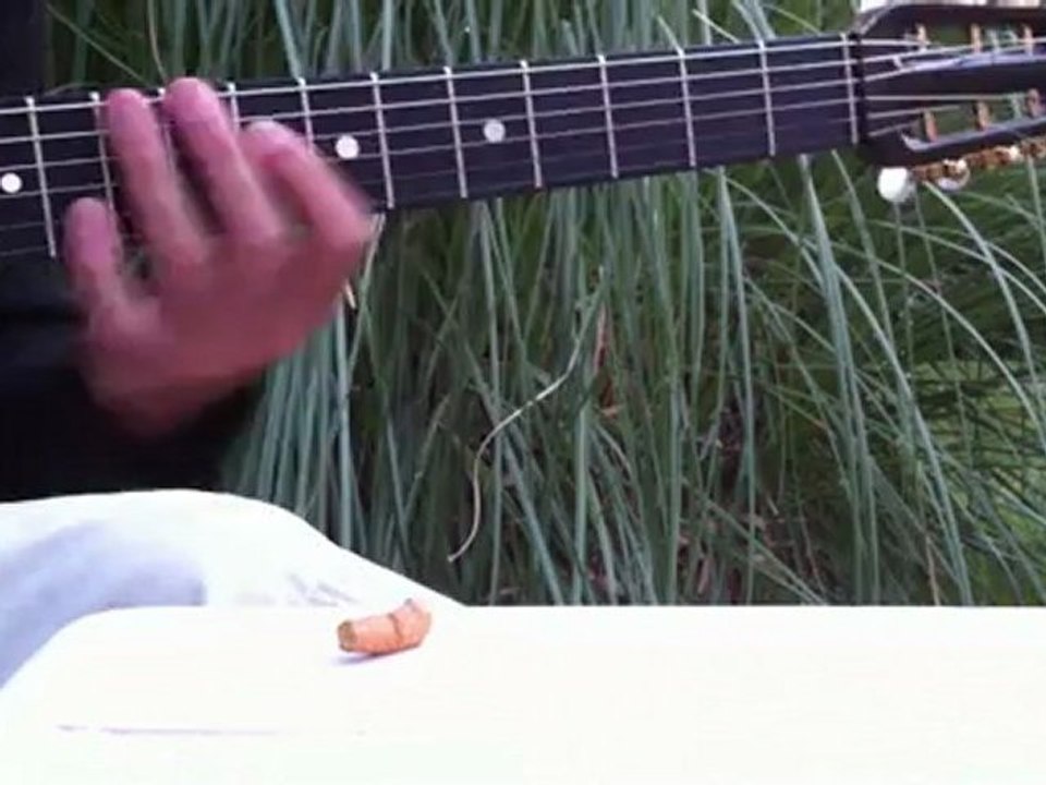 swing gitan jazz manouche