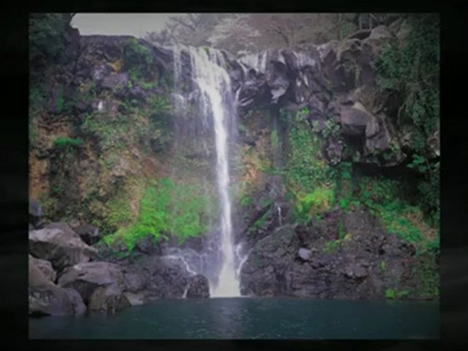 Live in better holistic health & wellness with guided meditations