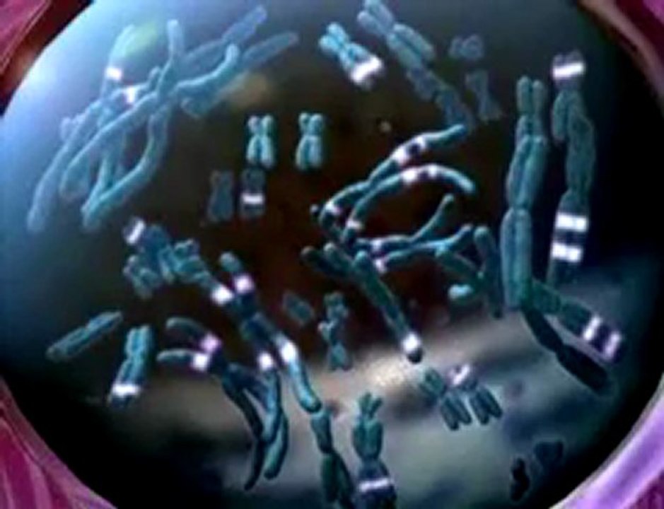 ΕΚΦΡΑΣΗ  ΑΝΘΡΩΠΙΝΟΥ DNA