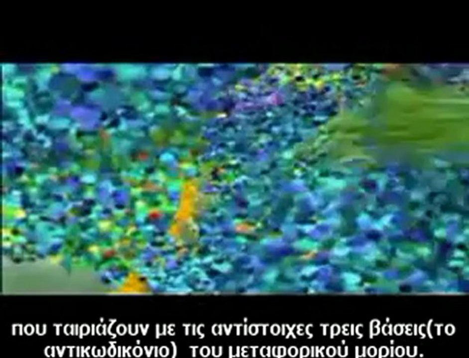 Μεταγραφή και Μετάφραση