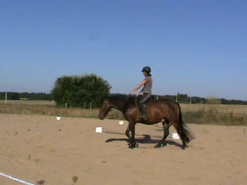 Volt et les tournants, débourrage, 5e séance.