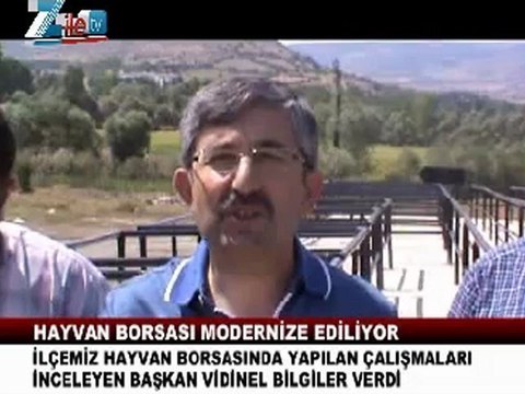 Zile hayvan borsası modernize diliyor