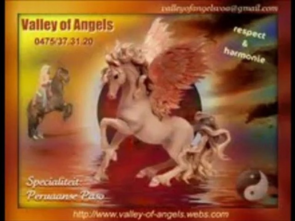 feliz paso peruano gait