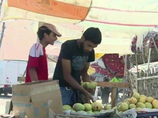 اعتقال ستة ارهابيين في سيناء