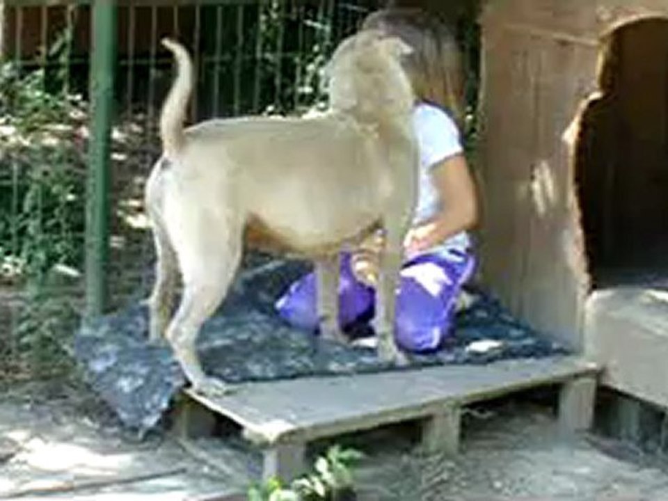 Hoxan...ou la reine des calins!!!