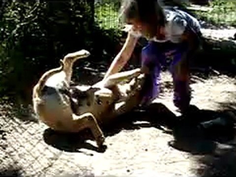 Le roulé boulé de Canelle!