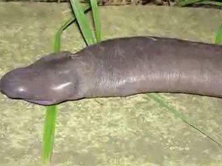 Discover More Pictures Here! 📸