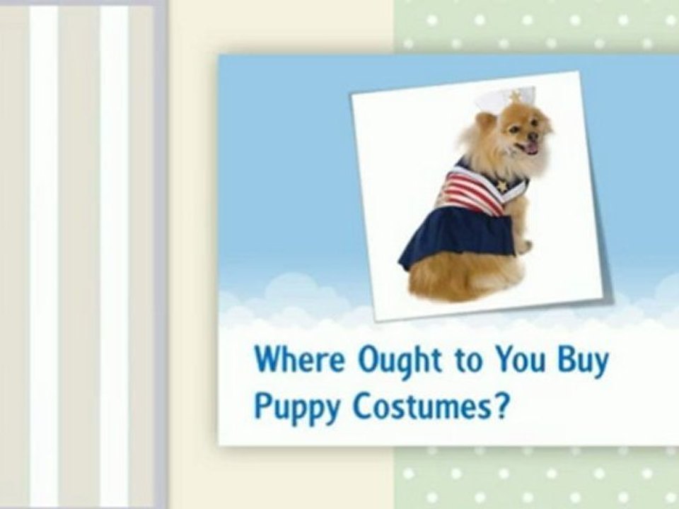 Where Ought to You Buy Puppy Costumes