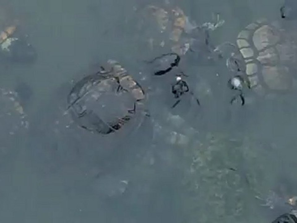 Hungry Turtles