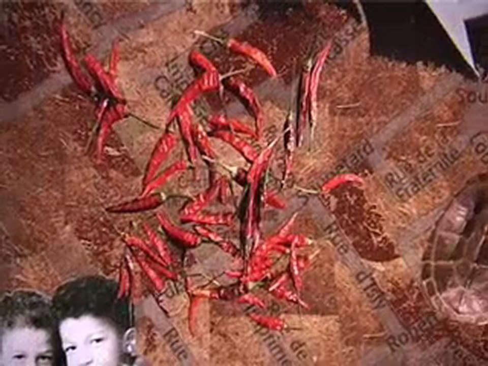 Les ateliers "Quartiers... de mémoire"