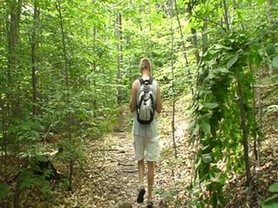 balade en forêt