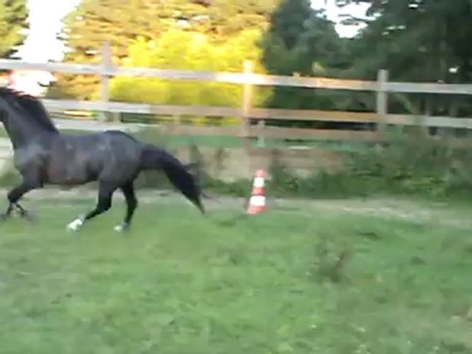 Saut en liberté du 10 08 2012.3