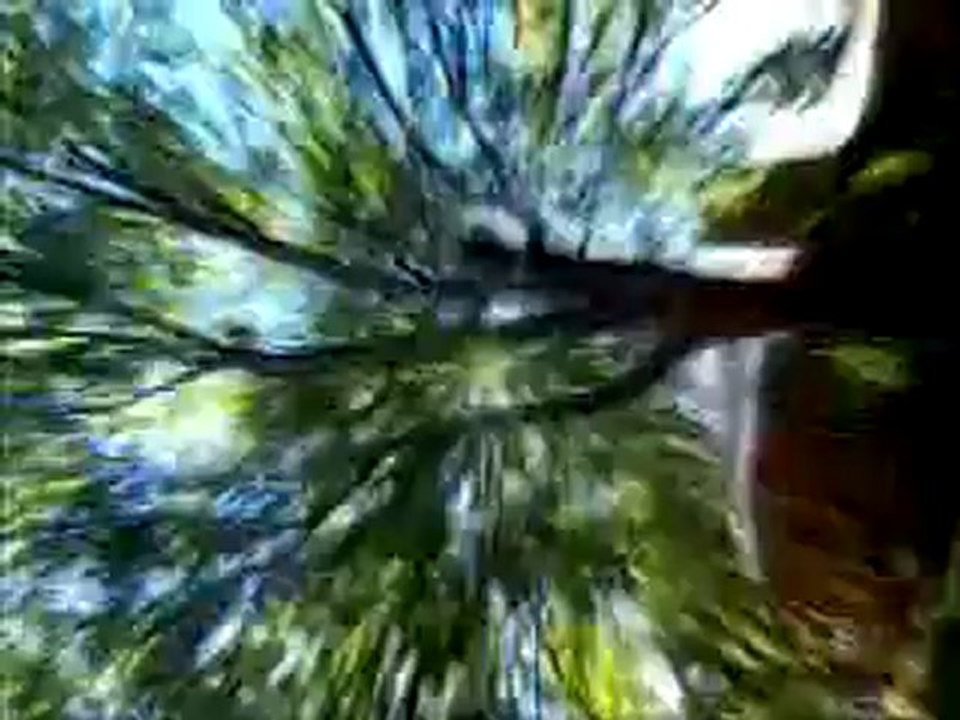 graverave