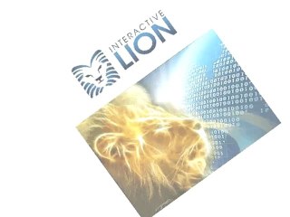 South Florida Website Development - by interactivelion