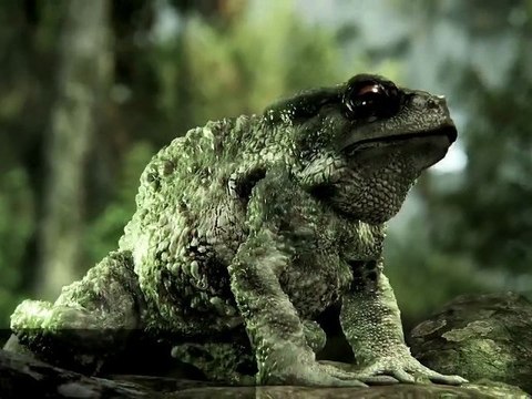 Crysis 3 : Trailer - Technologie CryENGINE 3