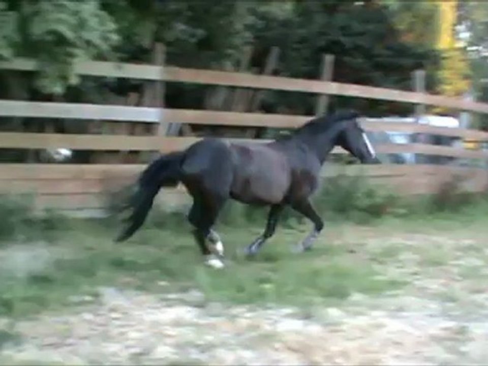 Saut en liberté du 10 08 2012.7