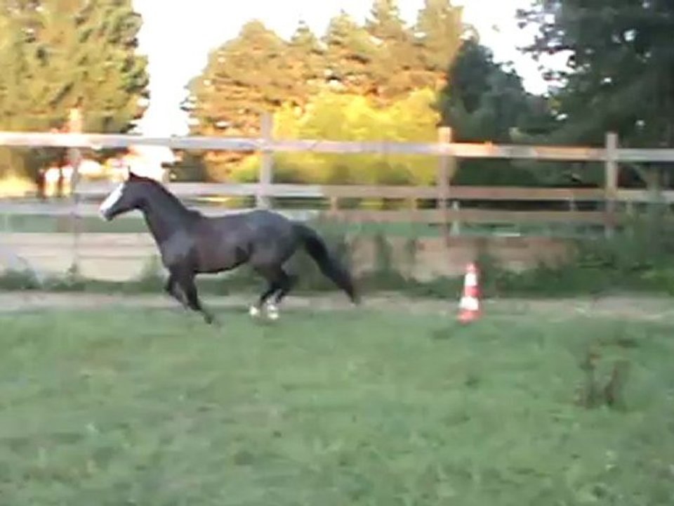 Saut en liberté du 10 08 2012.4