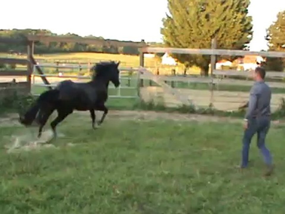 Saut en liberté du 10 08 2012.5