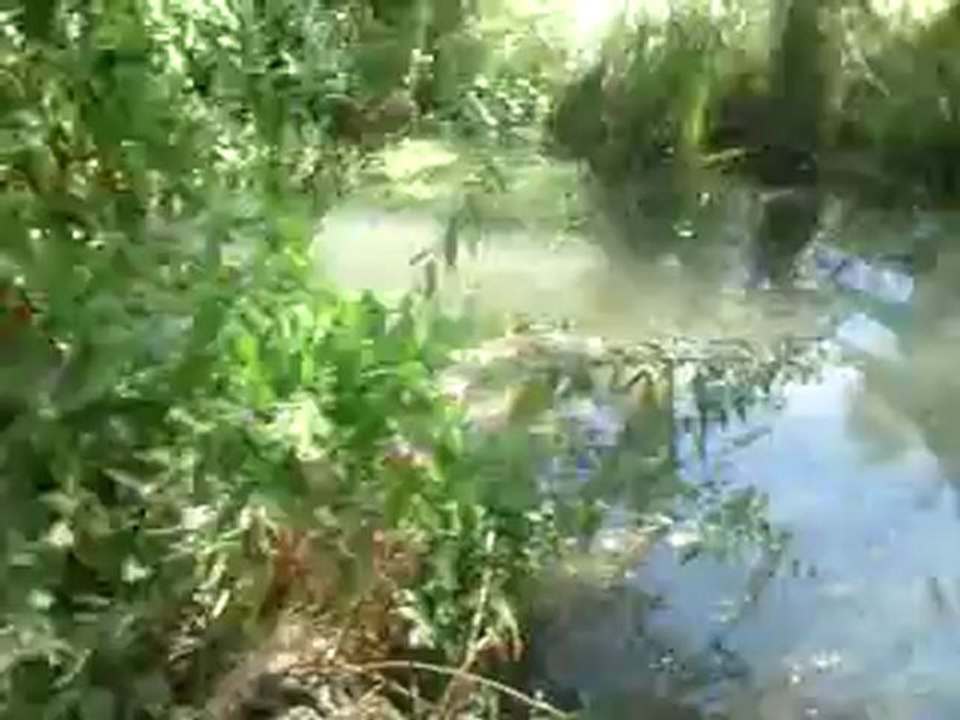 Gala & Lucky au petit parc