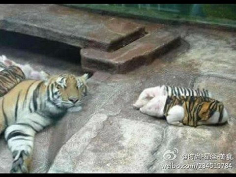 ARCHOS 101 Internet Tablet 8GB Best Sale Black Friday