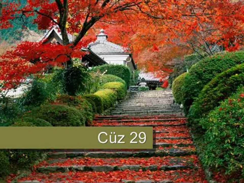 Cüz 29