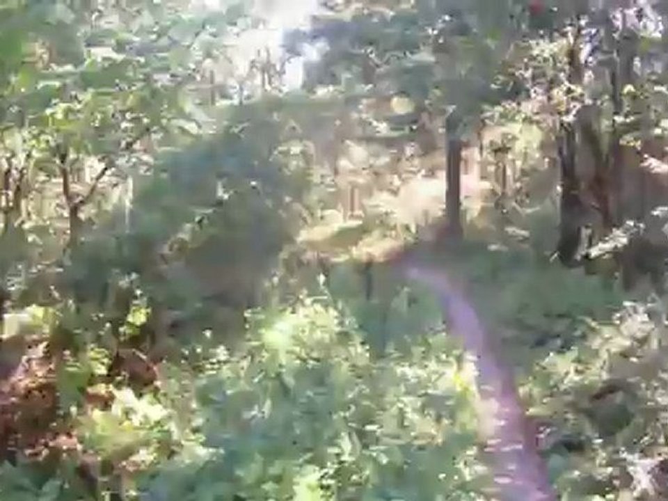 VTT dans la Mattheiser Wald