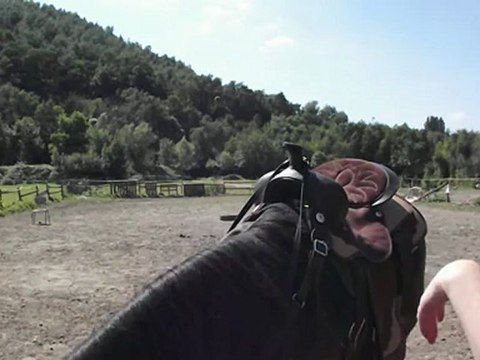 barrel racing au trot