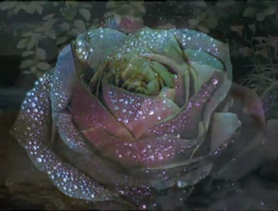 kamil baris - İbrahim Sadri {Uçurumun Kenarındayım Hızır}