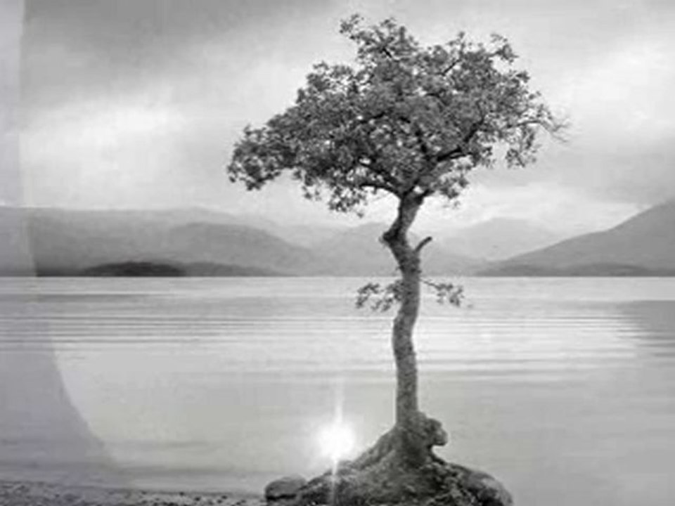 Blame It On My Youth -  Ulf Wakenius