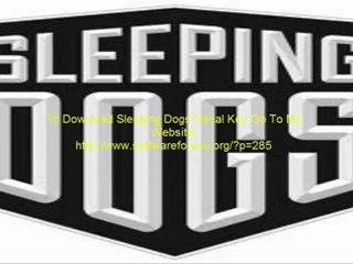 Sleeping Dogs Serial Key