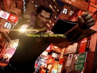 Sleeping Dogs CD Key