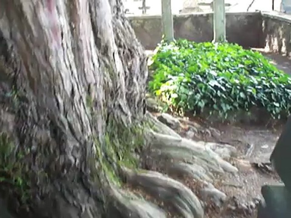 Le petit cimetière des Sand à Nohant, suite