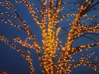 IM(00h00m00s-00h12m00s)