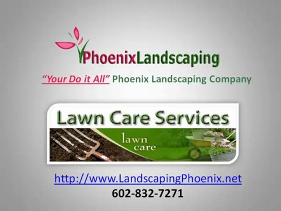 Landscaping Phoenix | Tree Removal Phoenix