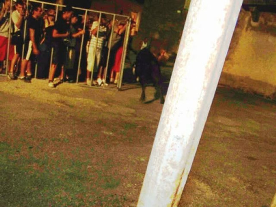 encierro souvigargues manade chaballier le 11/08/2012