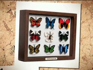 eBay Video Promotion Gig ##12