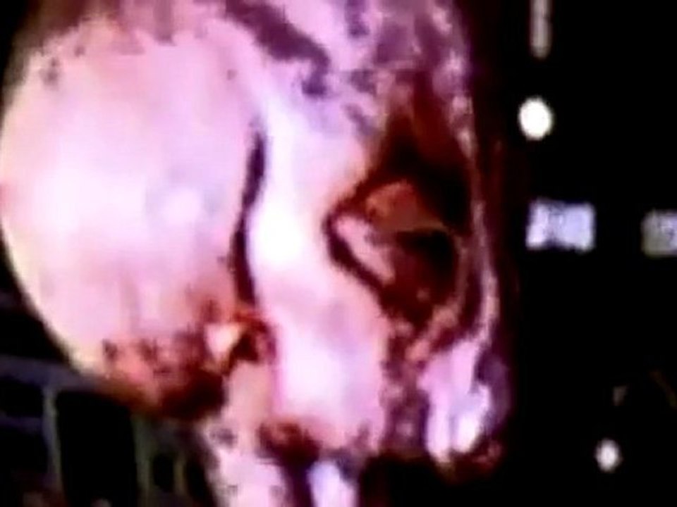 ALIEN .grey. (REAL. HOAX).