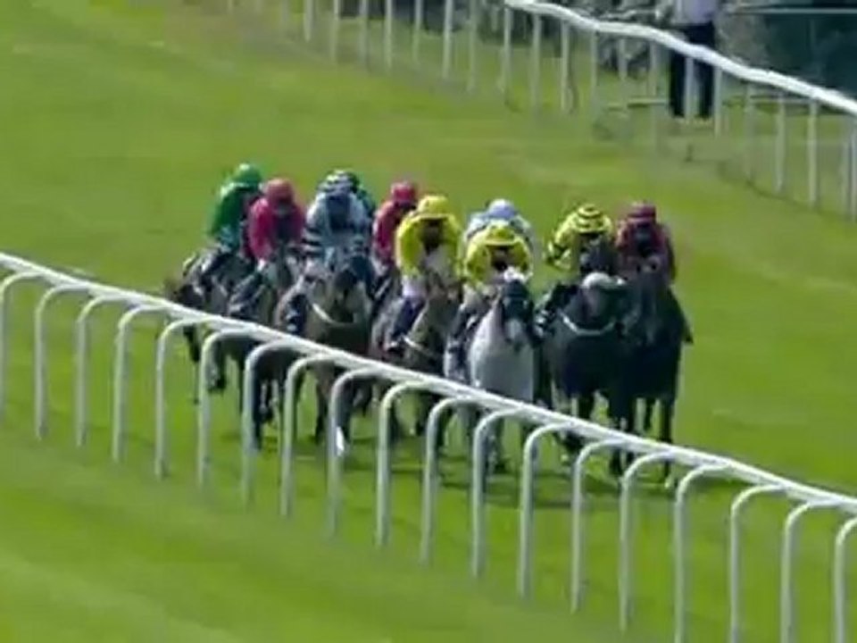 11.08.2012 Ascot (GB) 2.Race Redstone Shergar Cup Handicap 3.219 m Winner: Address Unknown