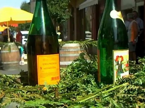 Naucelle... Ecris...Vin