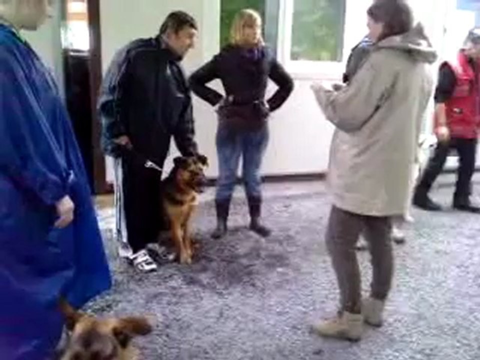 sultane en debut de seance de dressage