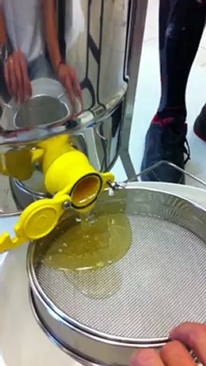 Extraction du miel