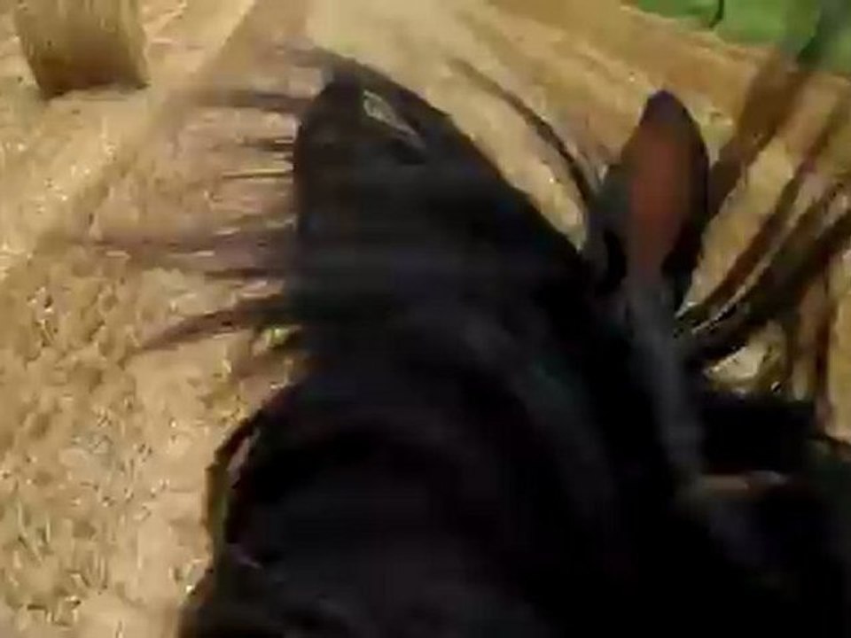 caméra embarqué au trot et galop sur jupiter