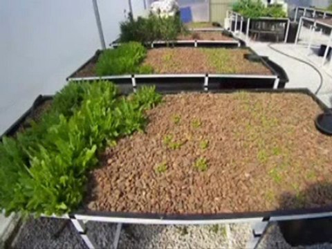 Review Aquaponics Systems