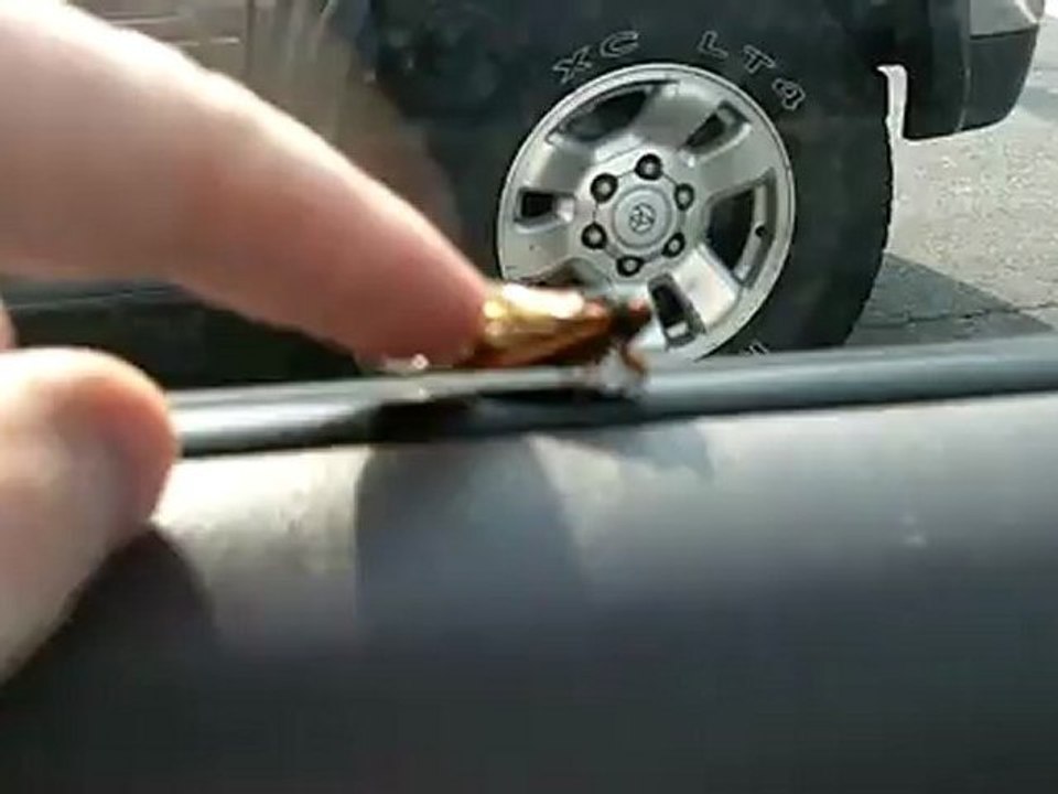 Cicada Inside The Car