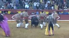 RUI PEDRO DOS AMADORES DA CHAMUSCA PEGA TOIRO DE RUY GONÇALVES NA PRAÇA DE TOIROS DA NAZARÉ