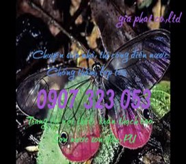 Sửa chữa nhà vệ sinh quận tphcm call 0907 323 053