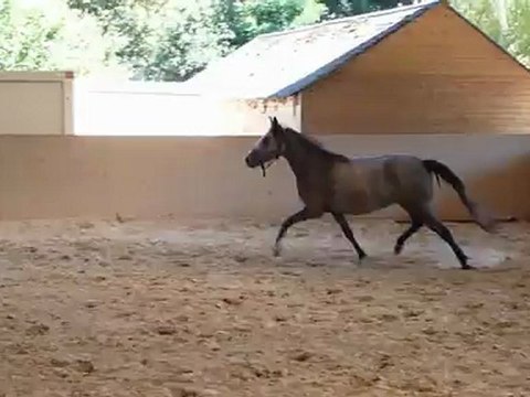 Alizée août 2012 saut au trot