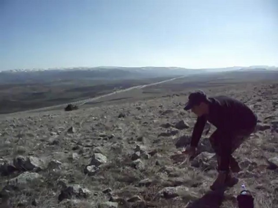 Mustang Keklik Ferma--K.AVCI