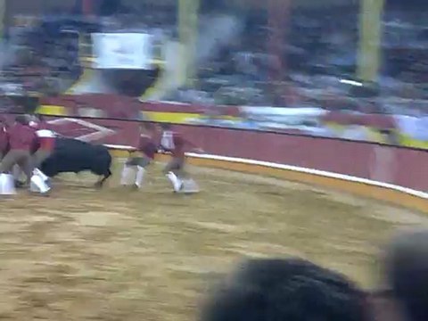 Helder Carvalho Amadores da Azambuja pega toiro do Eng Ruy Gonçalves